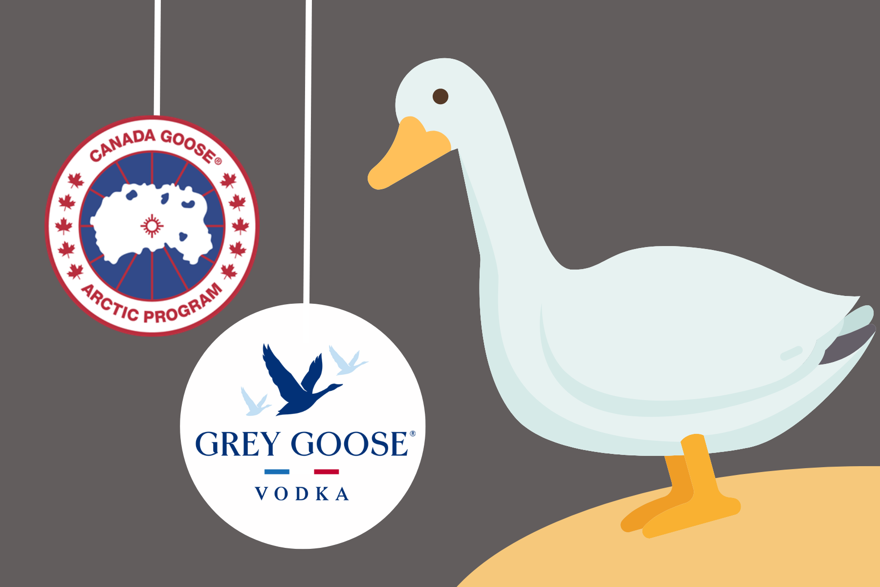Chloe Hunt | Canada Goose, Grey Goose, or just a silly goose?