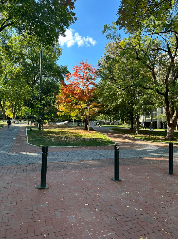 Wesley Liu | When Universities Try to Be Parents