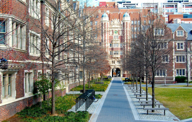 Kyle Cortes | Freshman Advice Column: Dorm Reviews and Advice